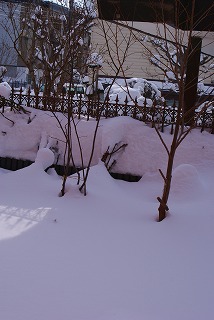 f0170524_12171841.jpg
