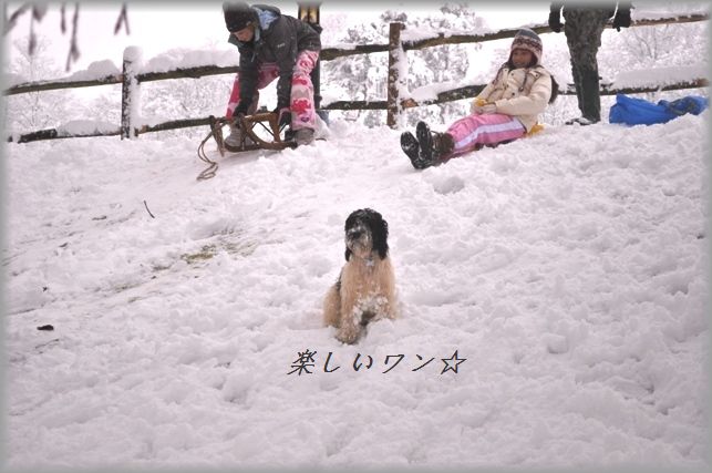 柚子胡椒風味☆鶏ともやしの塩鍋＆雪のイギリスにようこそ♪_d0104926_1472411.jpg