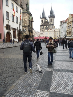 Truffle and the Paparazzi in Prague_c0201334_22484054.jpg