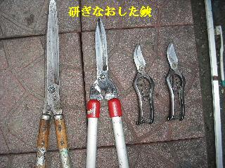 f0031037_22273284.jpg