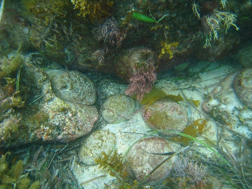 a0150039_10244.jpg