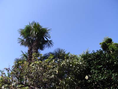 b0019140_1340125.jpg