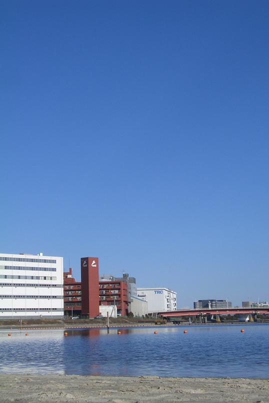 c0176941_202294.jpg