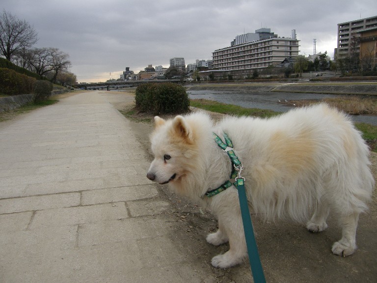 f0128542_09302.jpg