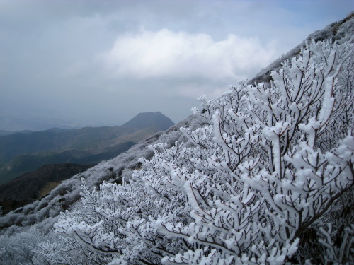 ３回　４座目　２０１０年１月８日　雲仙普賢岳_c0179351_21362949.jpg