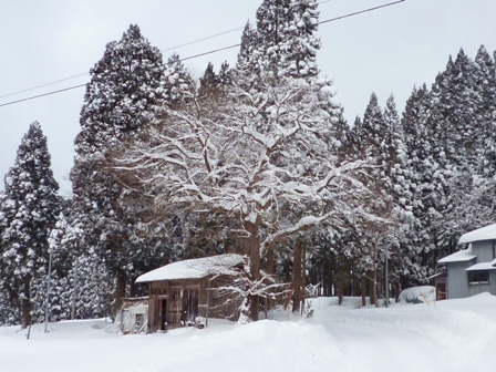 実家の冬休み…_b0093660_2216352.jpg