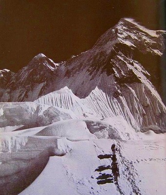 c0219866_1355969.jpg
