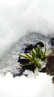 a0125667_18201247.jpg