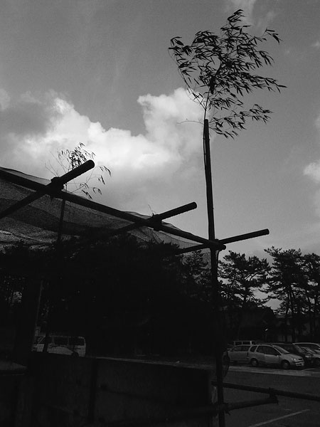 平和の礎_e0082981_23252970.jpg