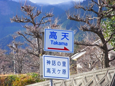 店舗デザイン_c0207890_13287.jpg