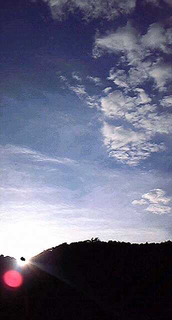 d0110991_19263882.jpg
