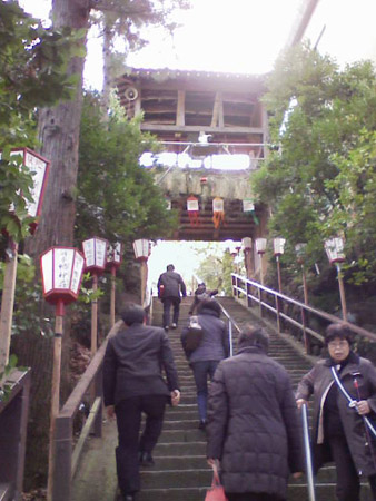 七草粥と達磨さん_c0066693_96265.jpg