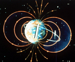 b0118096_1421349.gif