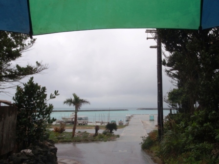 今日の鳩間島　1/8（金）　雨 （夜は曇り）　欠航４日目_b0165698_22194935.jpg