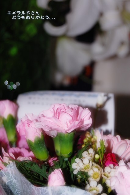a0155999_0465841.jpg