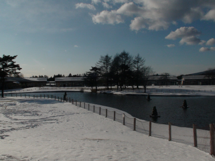a0149001_013670.jpg