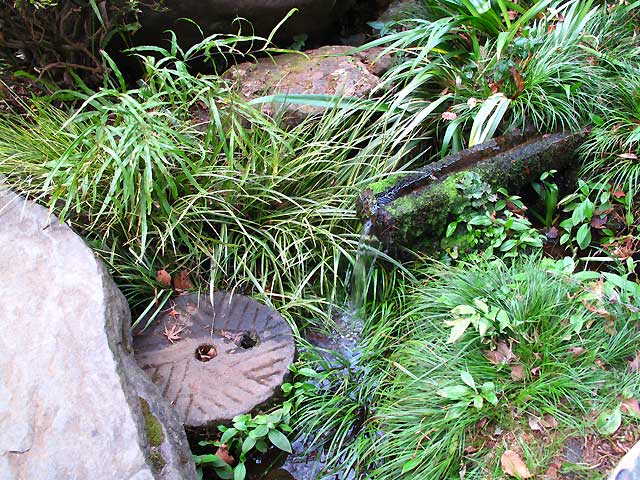 国分寺崖線・野川に注ぐ湧水＆ミニ支流たち（2）真姿の池湧水群_c0163001_01975.jpg