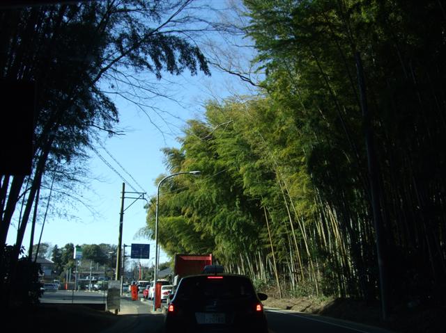 b0120103_2004579.jpg