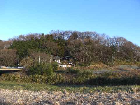 c0051112_175054.jpg