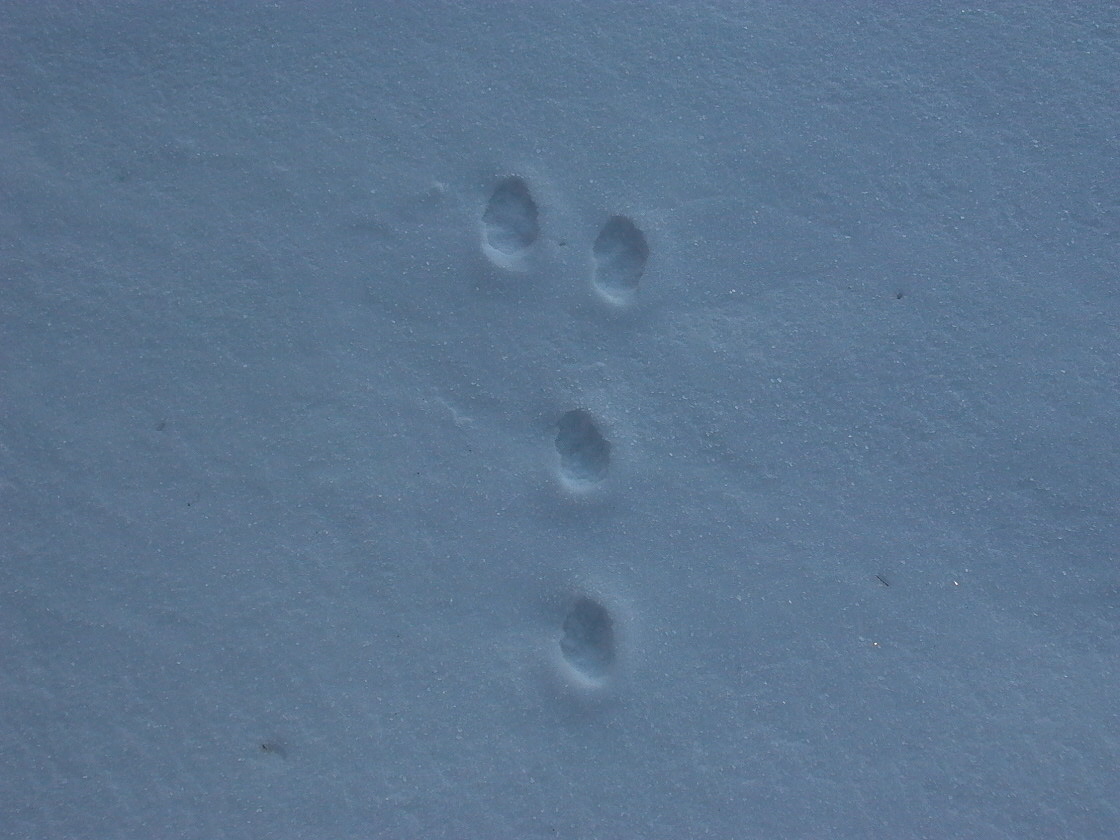 a0150213_16254616.jpg