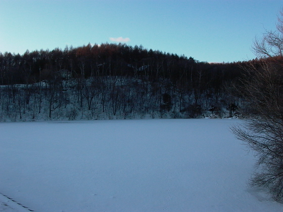 a0150213_1634252.jpg