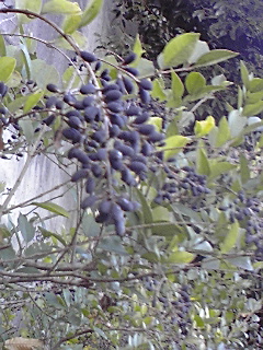 f0049813_22343411.jpg
