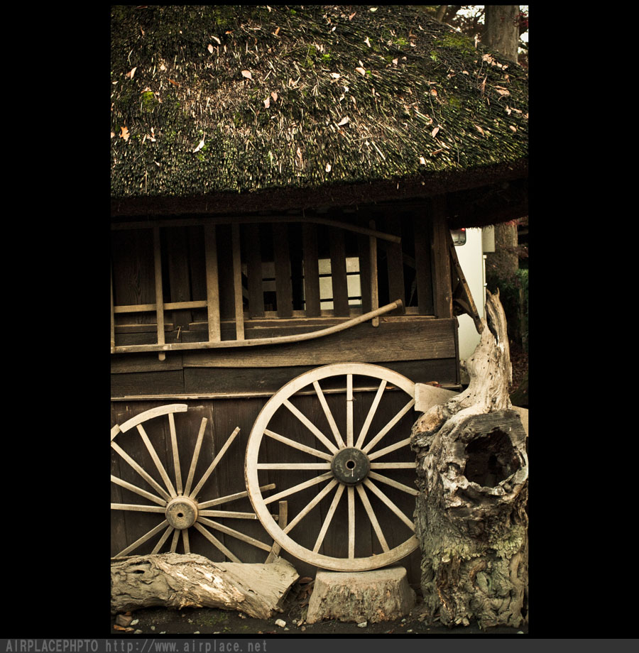 落ち葉の道　～平林寺～_f0086721_3165318.jpg