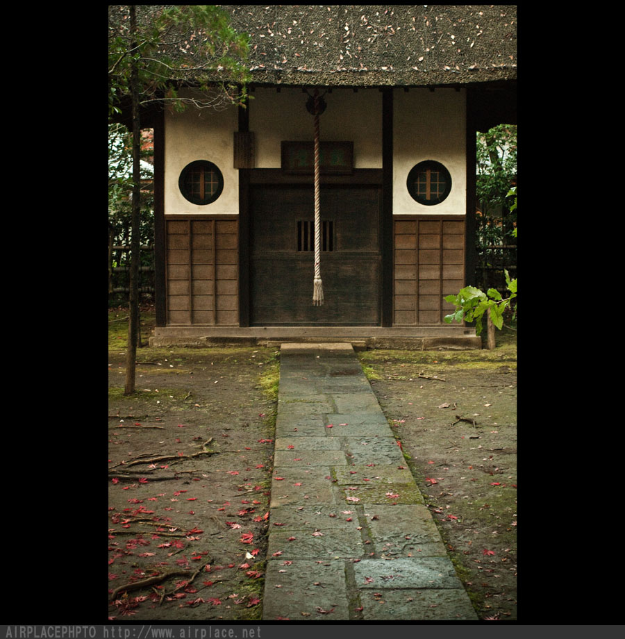 落ち葉の道　～平林寺～_f0086721_3175281.jpg