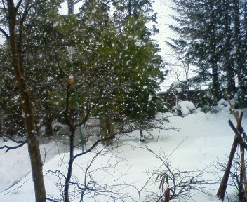 f0085327_16381981.jpg