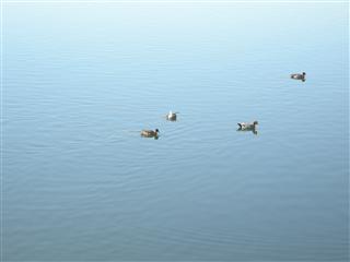 c0039428_21181369.jpg