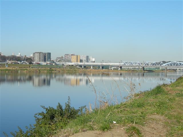 c0039428_21194390.jpg