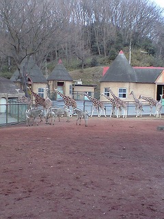 多摩動物公園_f0202231_15251882.jpg