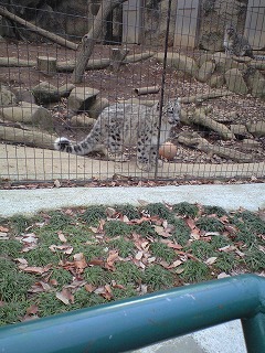 多摩動物公園_f0202231_15362797.jpg