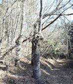 f0161535_20153717.jpg