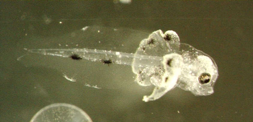 c0106036_17535292.jpg