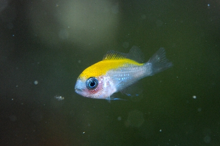 a0150039_1341850.jpg