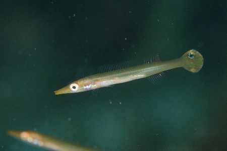 a0150039_1363153.jpg