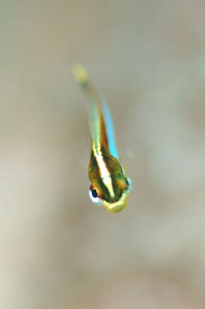 a0150039_1375478.jpg
