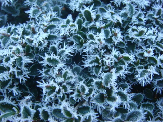 b0097645_21334327.jpg