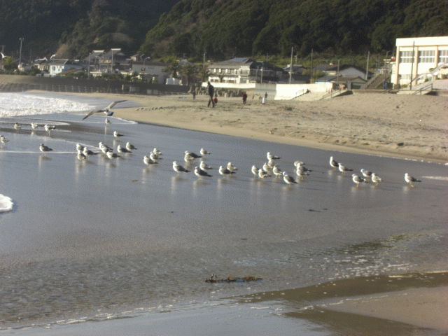 f0031546_178548.gif