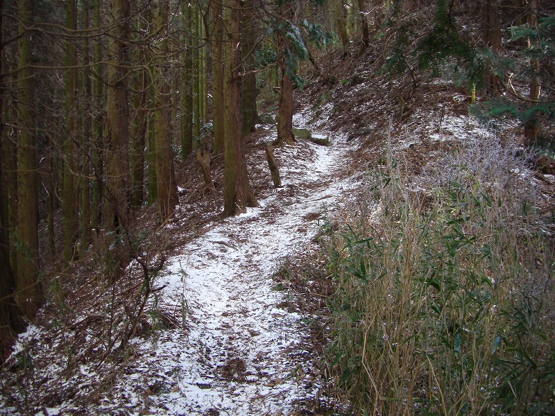 三度目の正直、霧氷の金剛山_a0122149_2252835.jpg