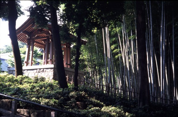 e0129750_16174375.jpg