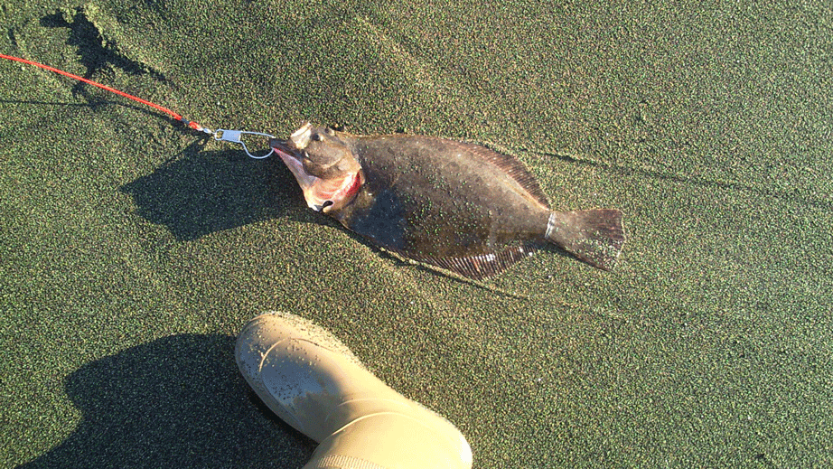 f0150151_12215666.gif