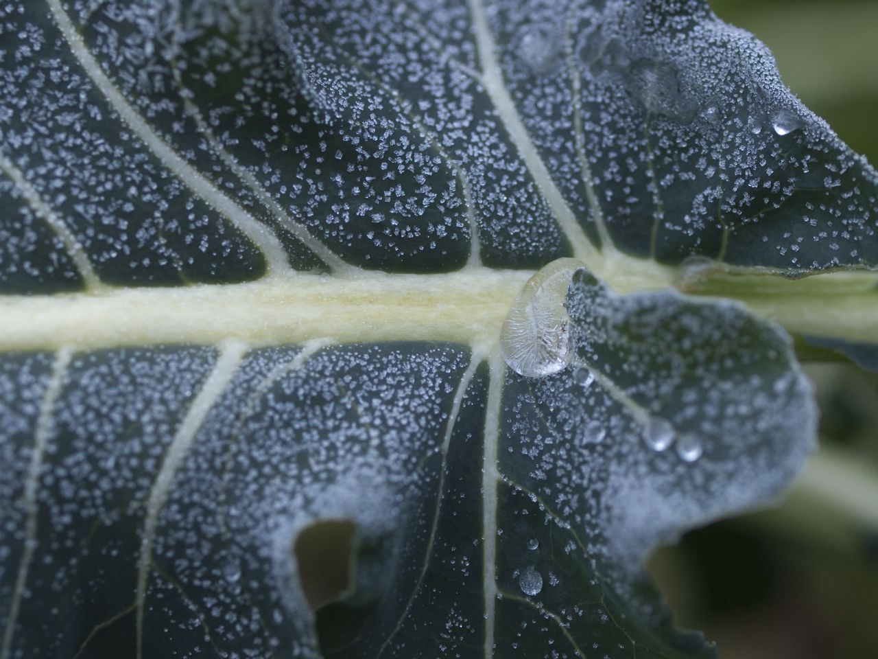 b0148762_9271710.jpg