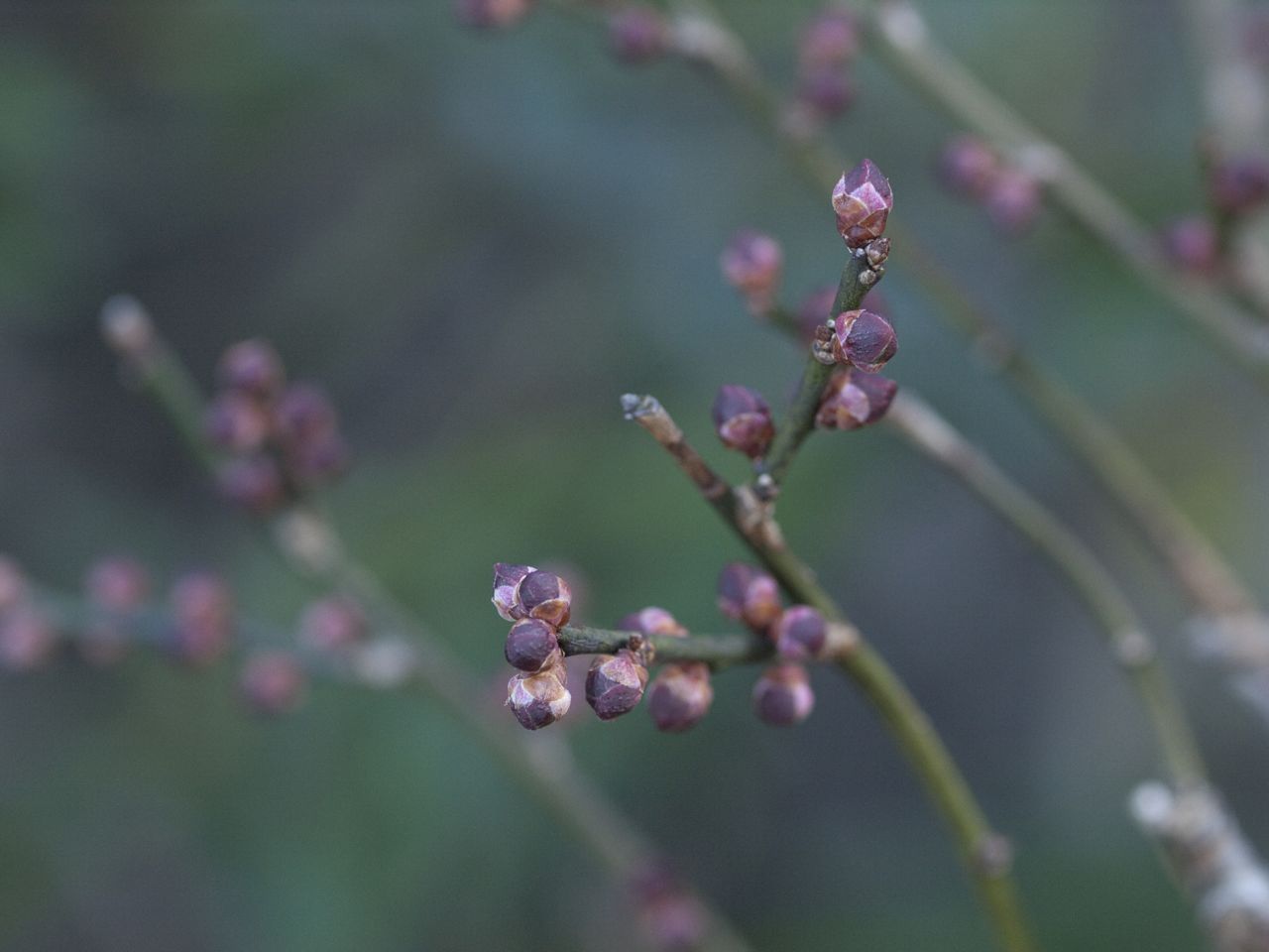 b0148762_930510.jpg