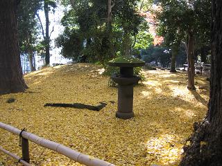 f0148563_2028923.jpg