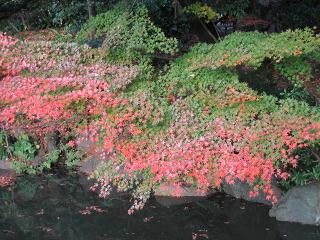 f0148563_205362.jpg