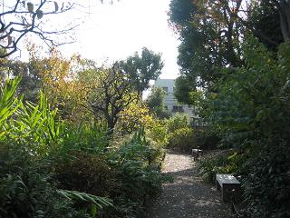 f0148563_209782.jpg