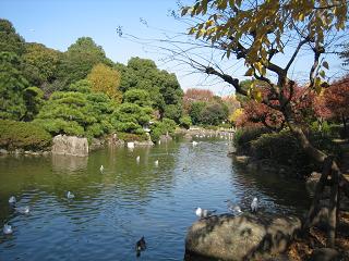 f0148563_2165476.jpg