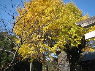 f0148563_2171299.jpg